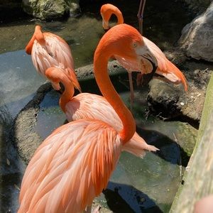 Meet your Posher, Jenn